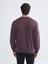 Yeni Sezon Bisiklet Yaka Erkek Sweatshirt 4