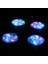 Powermaster 12 Volt 3 Watt Rgb Yanıp Sönen 6565-2835 Modül LED 2