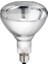 5 Adet 375 Watt Şeffaf Cam Infrared Isıtıcı Ampul Lamba 1 Adet Porselen Duy Hediye 1