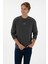 Erkek Antrasit Sweatshirt 50313760-VR006 1