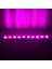 Powermaster Pembe 24 Volt 1.4 Watt 2835 Modül LED 48*30 2