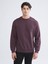 Yeni Sezon Bisiklet Yaka Erkek Sweatshirt 1