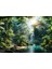 Amazon Ormanlarında Sıradan Bir Gün Duvar Örtüsü Duvar Halısı Wall Tapestry 1