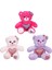 Renkli Sevimli Peluş Ayıcık 26 Cm-1 Adet Stokta Olan Gönderilir 1