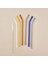 Straw Color 6'lı Cam Pipet Fırça Seti - Renkli 1