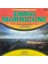Ennio Morricone Beroemde Filmmelodieen Soundtrack Lp Plak 1