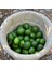 Yerli Limon – Taze Doğal ve Vitamin Deposu 5