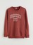 Yeni Sezon Bisiklet Yaka Erkek Çocuk Sweatshirt 1