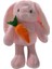 Sevimli My Fırst Rabbıt 35 cm 1 Adet 1