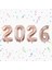 Yılbaşı Rose Gold 2026 Folyo Balon Her Rakam Boyutu 36-40 cm 1