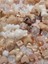 Krem Karamel Jelly Charm Boncuk Karışık 30 Adet Figür Boncuk Kahve Rengi Figürlü Boncuk 4