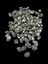 Deniz Kabukları 100 gr No-16-Neritacommunis 1