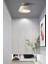 Dolly Modern Hol Koridor Giriş Için Tekli Plofonyer Metal Avize 1