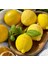 Limon Görünümlü Limon Kokulu Doğal Soya Wax Mum – Dekoratif & El Yapımı ( 2 Adet) 2