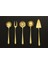 Osiris Model 5 Parça Titanyum Gold Sos Servis Seti (Küçük Boy) 1