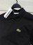 Premium Erkek Siyah Polo Yaka Tişört 1