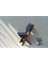 2+1 Sekizgen Bahçe Balkon Mutfak Tipi Minderli(Lacivert) Katlanır Masa-Sandalye Takımı 4