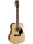 AD810-12OP 12 Telli Akustik Gitar 1