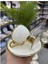 Thelma Gold 6 Lı Kahve Fincan Takımı White 1