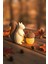 Sevimli Sincap ve Meşe Palamudu Biblo Seti Işıklı, 2li Dekoratif Tealight Süs Bioplastik 14CM-8CM 1