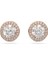 5636275 Swarovski Küpe Constella:pe Stud Pave Whıte/ros 1