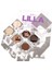 Playınn Lilla Vanilla Eye Shadow Palette 5