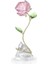 5666973 Swarovski Ev Dekorasyonu Florere:rose 1