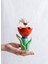 Çok Renkli Vazo Doıy Bloom Çiçek Küçük Vazo 3