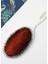 Pocket Boar Bristle B4 Ivory Saç Fırçası 3