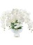 Luxury Centerpiece Beyaz Orkide Koku 1