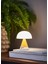 x Pantone Mina Sarı Orta Boy LED Masa Lambası 3
