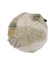 Mossy Rock Puf 1