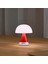 x Pantone Mina Kırmızı Orta Boy LED Masa Lambası 2