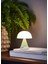 x Pantone Mina Mint Orta Boy LED Masa Lambası 3
