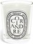 Standard Candle Coriandre 190G 1