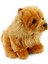 Chow Chow Çin Aslanı Peluş Oyuncak 28 cm 2