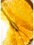 Allegra Magnifying Bergamot 40ML 2