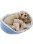Sepette Yavrulu Labrador Peluş Oyuncak 21 cm 3