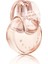 Omnia Crystalline Edp 100ML Kadın Parfüm 1