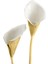 Calla Lily Mermer Stantlı Pirinç Ikili Şamdan 5