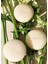 Atelier Des Fleurs Perfumed Soap Cedrus 100 gr 4