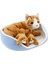 Sepette Yavrulu Kedi Peluş Oyuncak 21 cm 3
