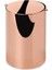 Rose Banyo Çöp Kovası 3 Lt 1