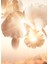 Orchide Gold Nobile 24 30ML Serum Refill 6