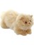 Yatan Bej Kedi Peluş Oyuncak 26 cm 1