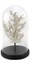Mercan Clear Detaylı Beyaz Cam Fanus 38X22 cm 1