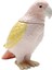 Jar Exotic Bird Giallo Renkli Porselen Dekoratif Obje 1