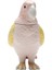 Jar Exotic Bird Giallo Renkli Porselen Dekoratif Obje 5