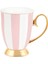 Blush Stripes 24 Ayar Altın Kaplama Mug 1