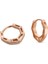 Mini Halka Rosegold Altın Kaplama Pirinç Kadın Küpe 1